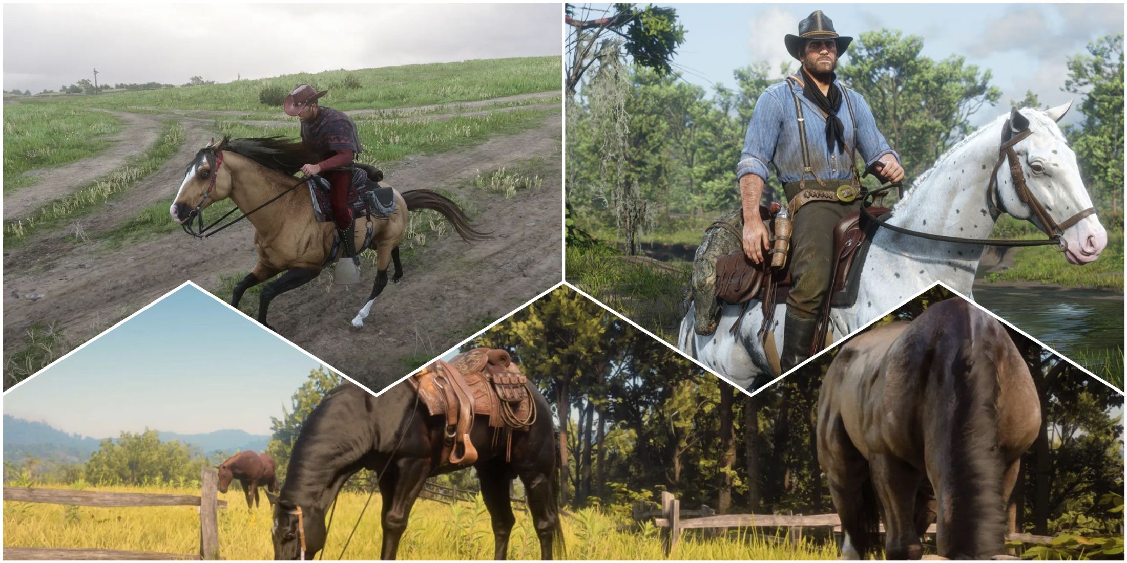 Best Horse Mods For RDR2