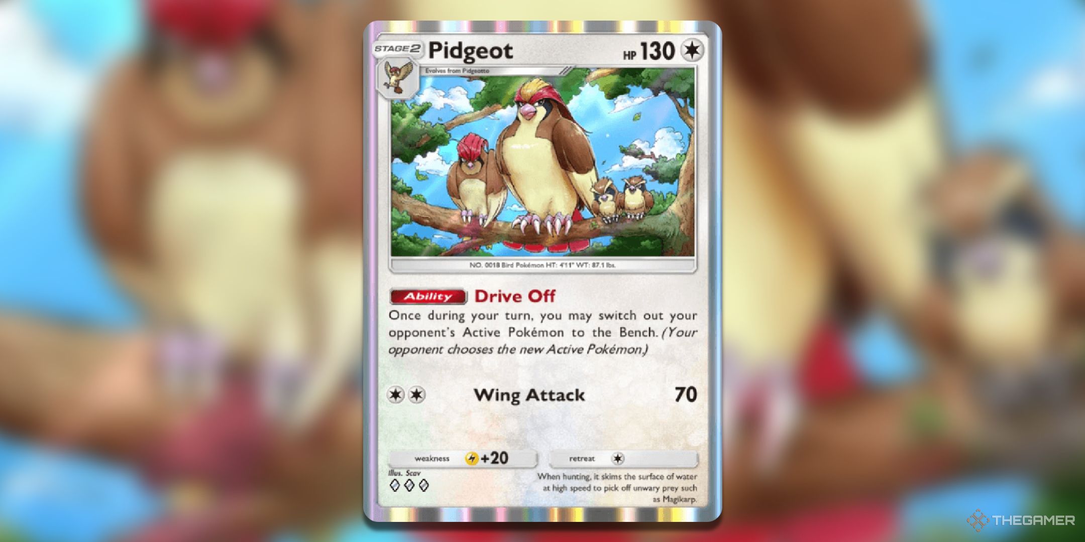 Pidgeot Pokemon TCG Pocket Card Art.