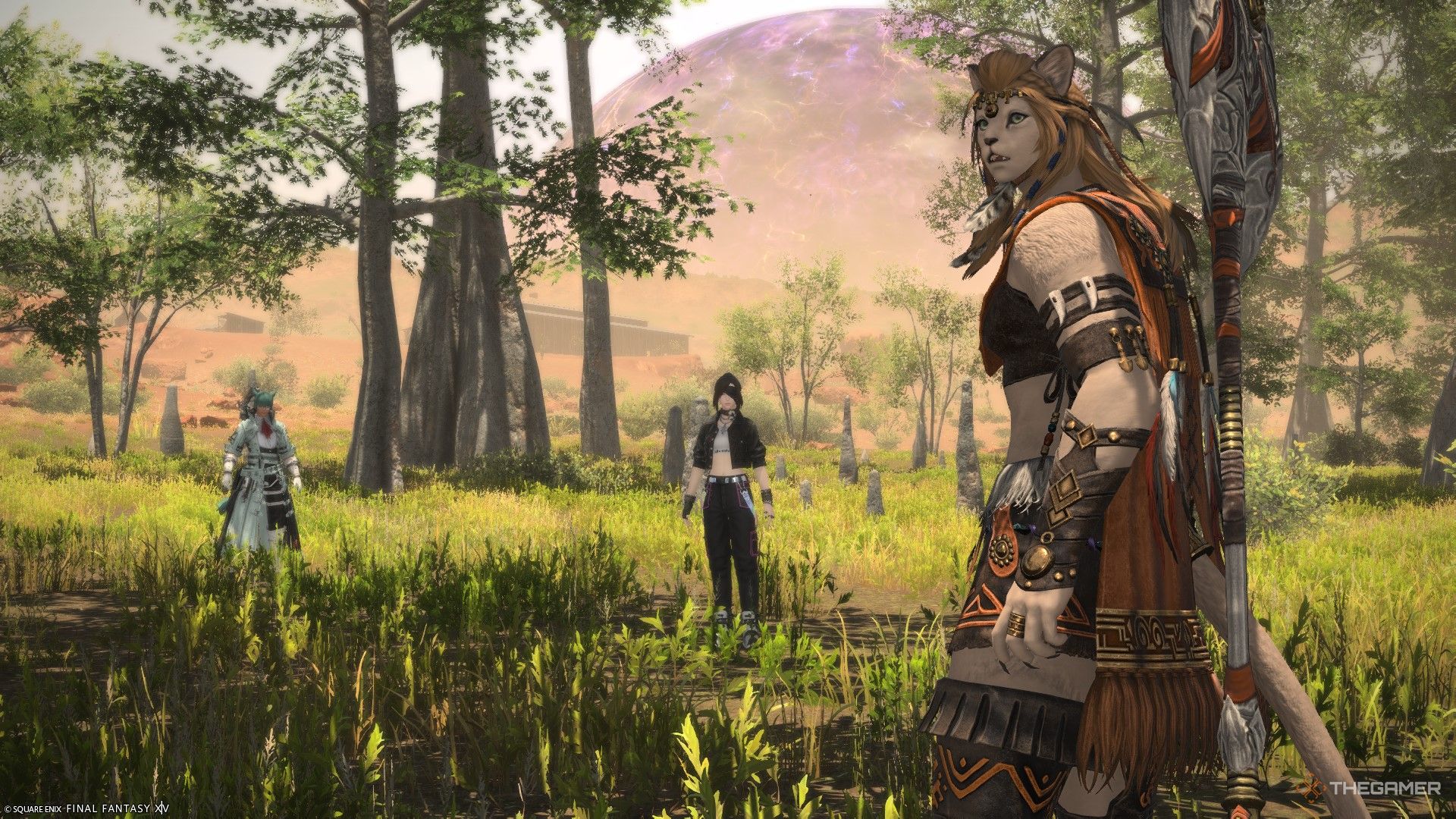 Kona the Warrior of Light and Wuk Lamat in Final Fantasy 14.