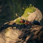 Empire of the Ants Review | NoobFeed