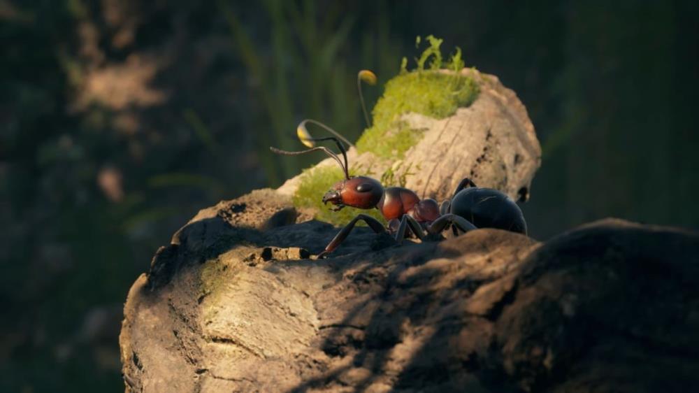 Empire of the Ants Review | NoobFeed