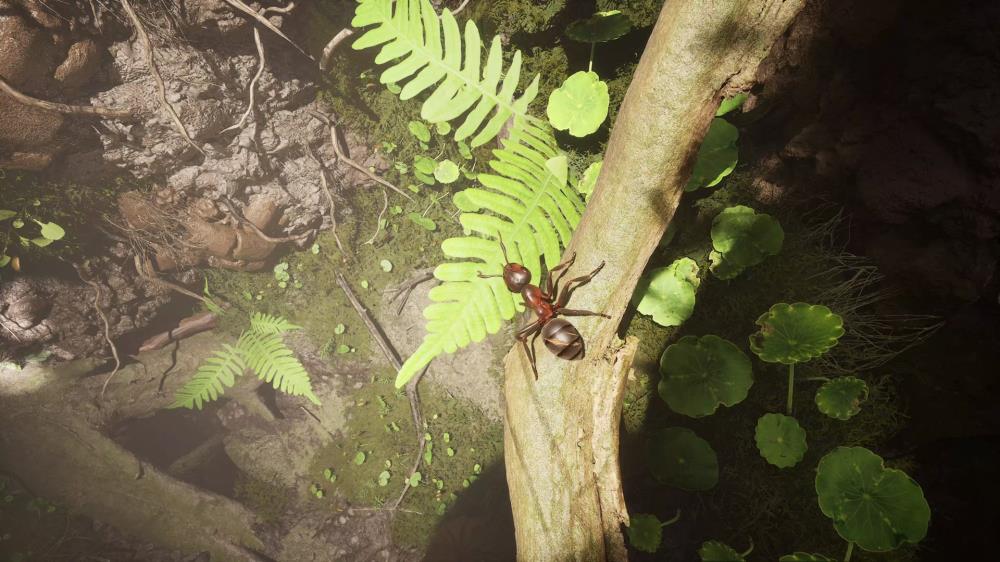 Empire of the Ants Review | TheXboxHub