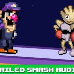 Failed Super Smash Bros. Auditions