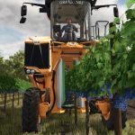 How To Grow Grapes In Farming Simulator 25