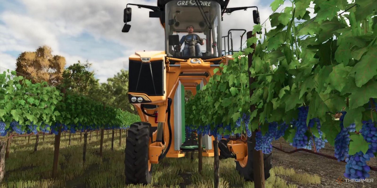 How To Grow Grapes In Farming Simulator 25