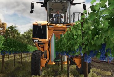 How To Grow Grapes In Farming Simulator 25