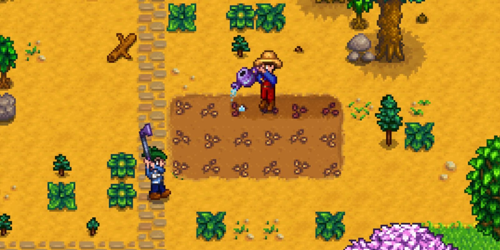 Hilarious Stardew Valley Glitch Puts Co-Op Player in the Void