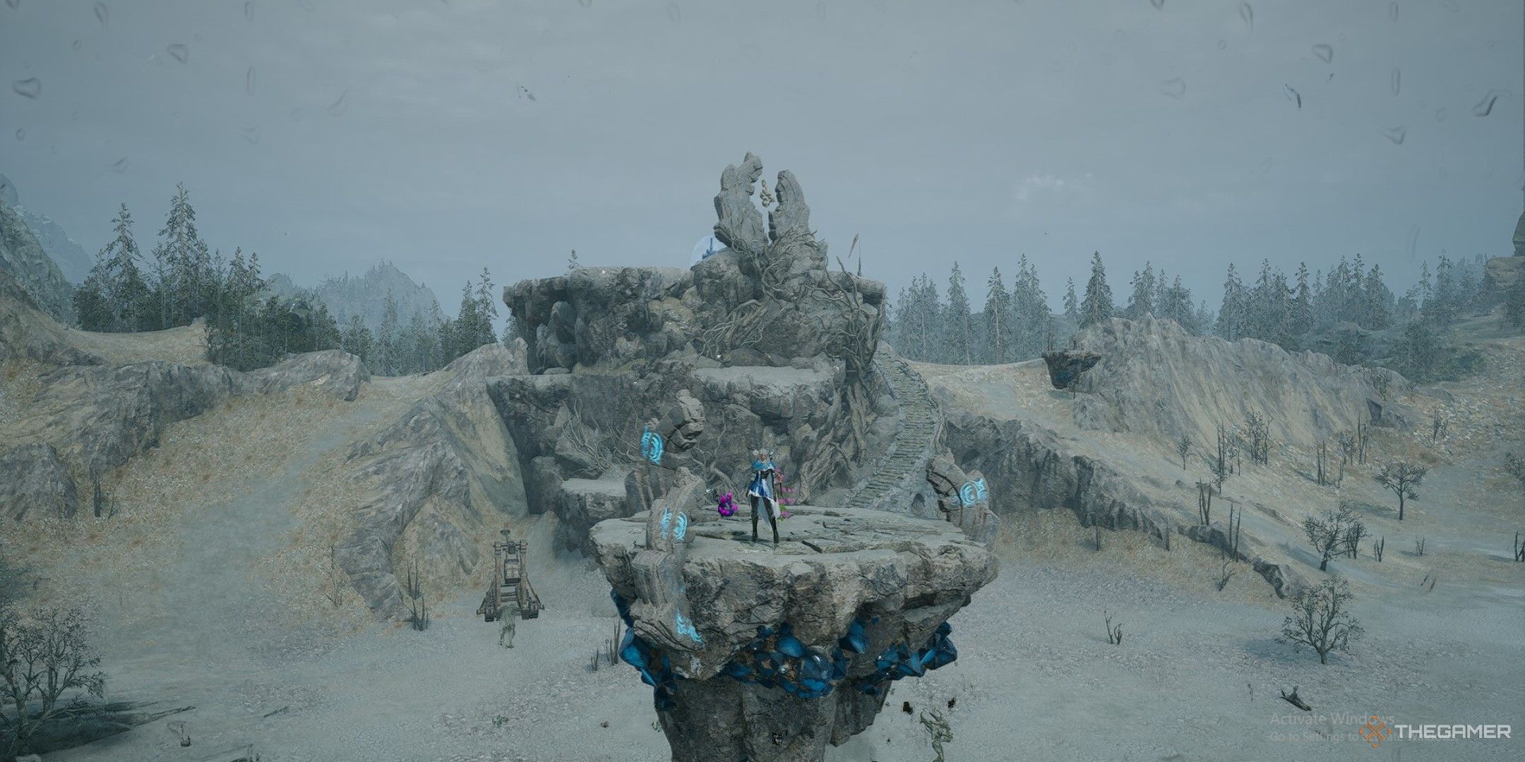 A playewr standing on top of the floating stone in Raging Wilds Throne and LIberty. 