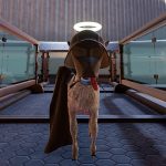 How To Unlock Every Achievement In Goat Simulator: Remastered