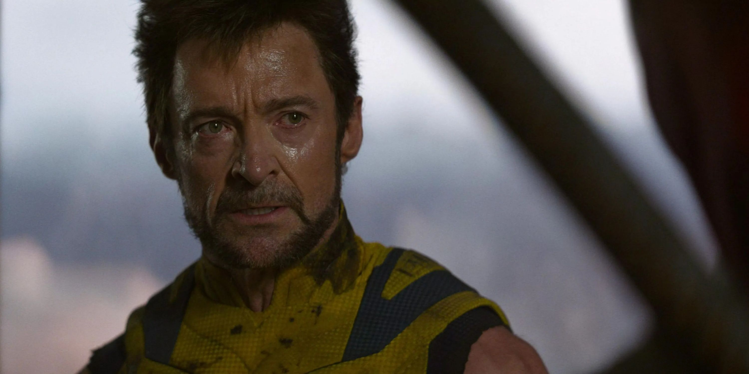 wolverine gets emotional