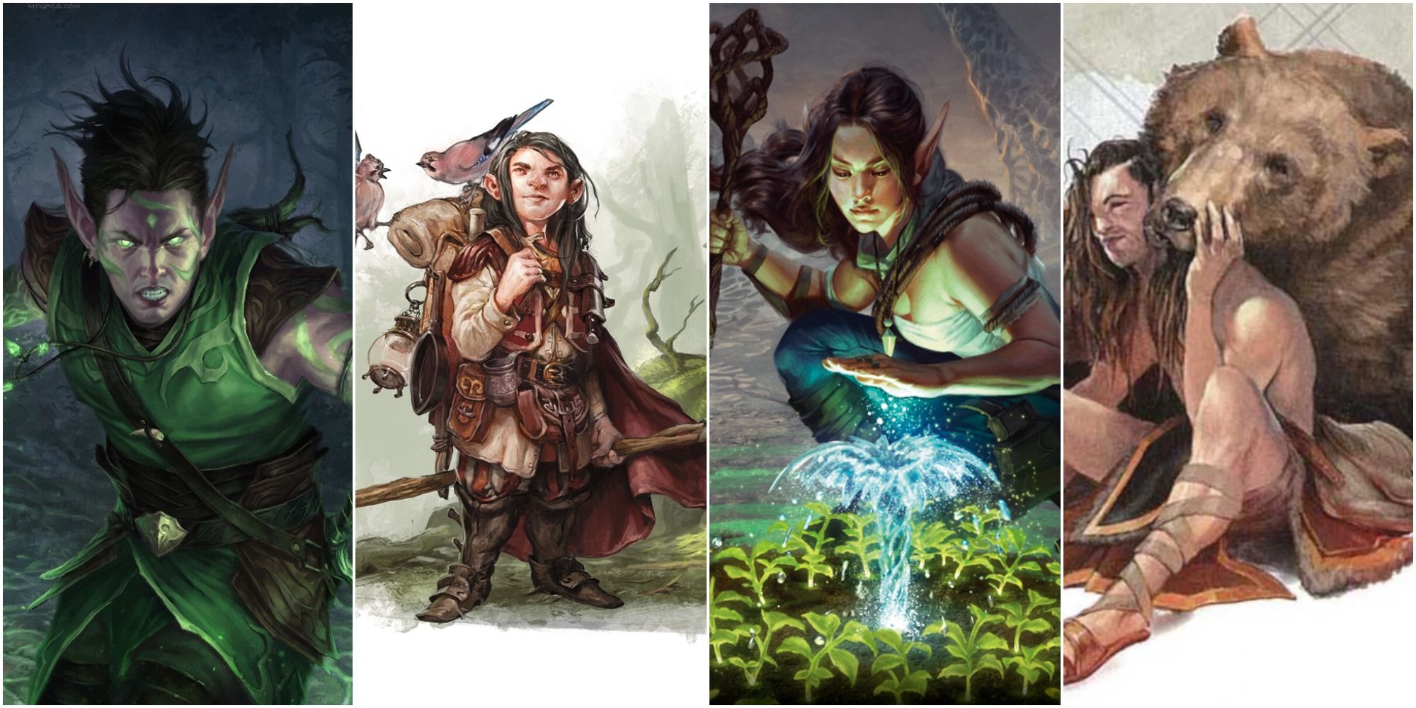 Split image of druid artworks from Magic the Gathering, and Dungeons and Dragons