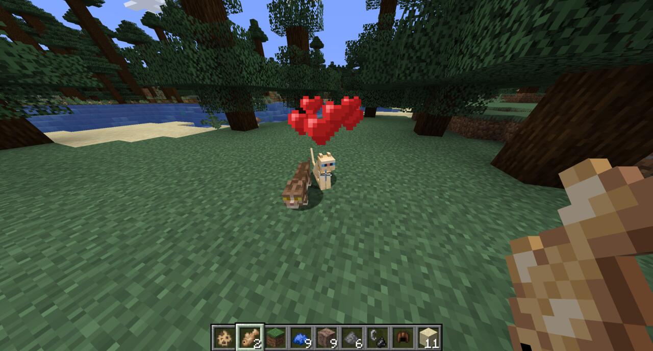 Taming two cats in Minecraft