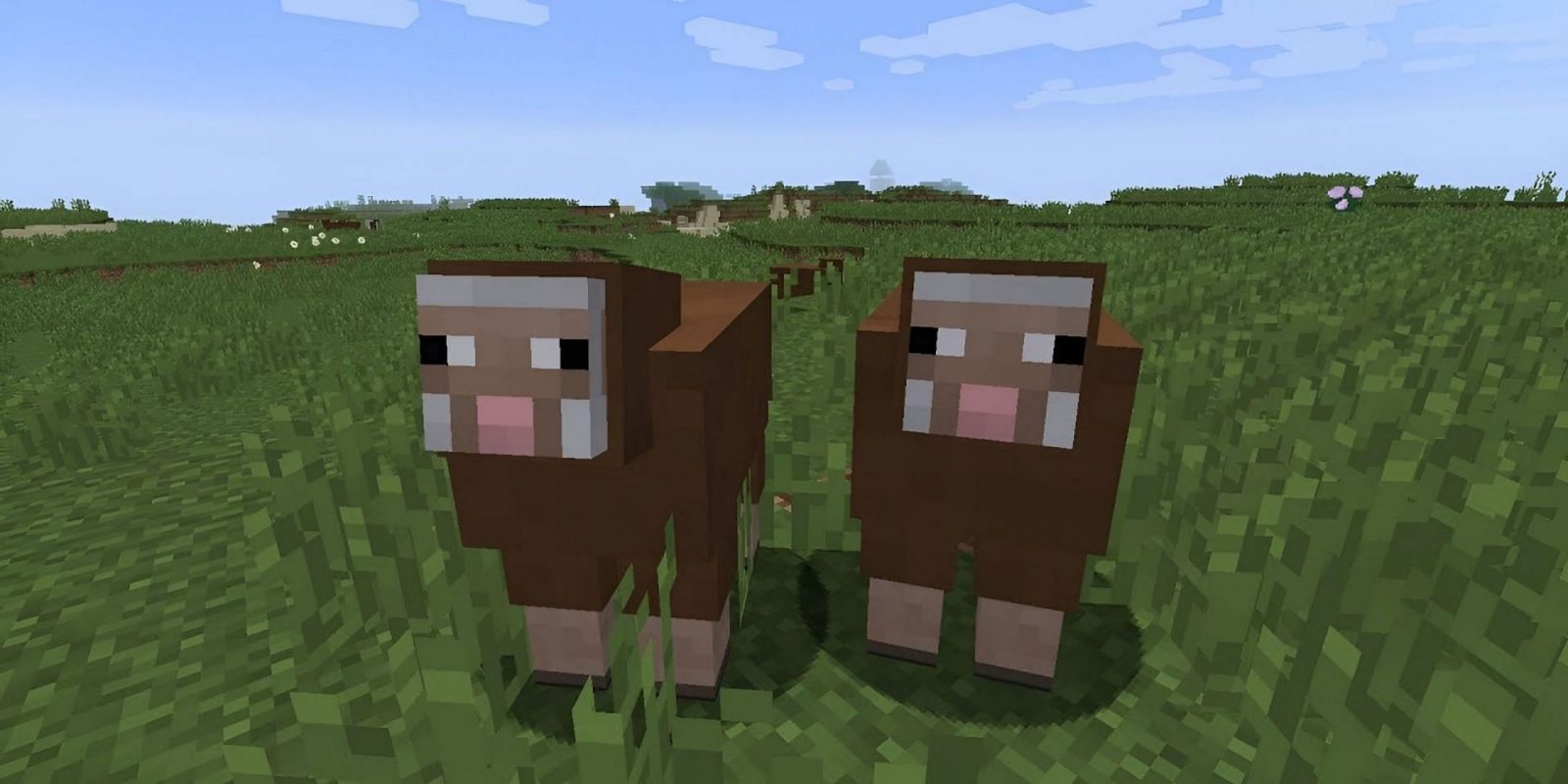 Minecraft Player Accidentally Makes All Their Sheep Turn Shiny