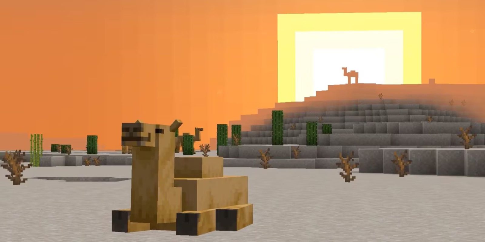 Minecraft Player Discovers Extremely Out Of Place Desert Village