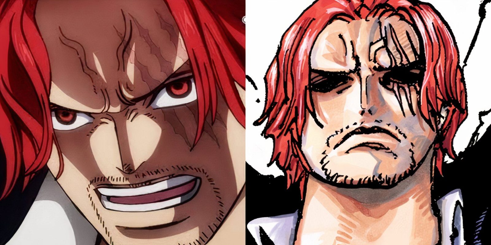 Oda Reveals A Special Subtype Of Haki