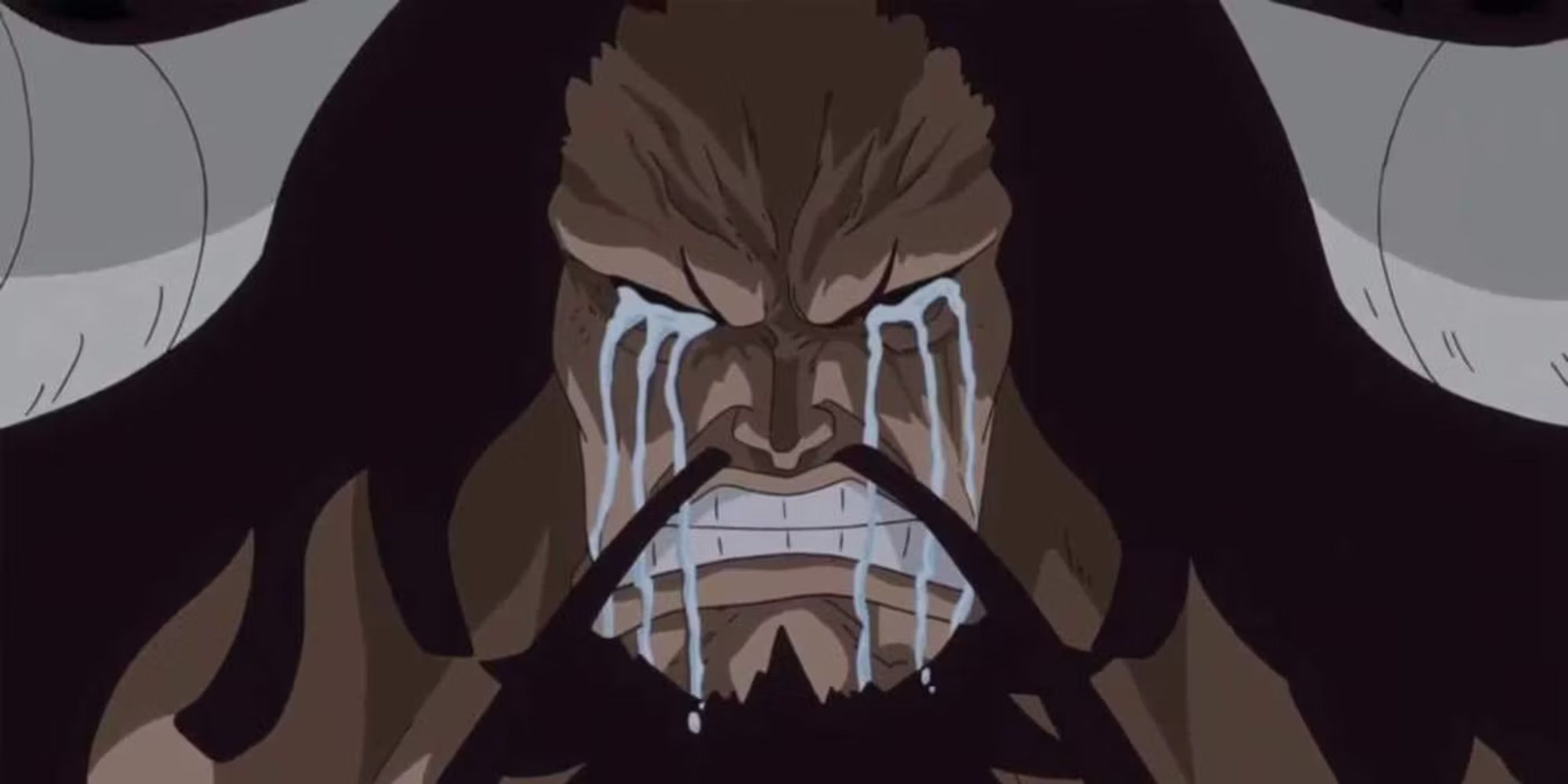 Kaido cries while drunk because he can't have a glorious death.