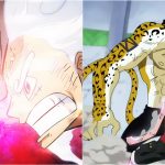 One Piece: Luffy's Most Important Fights