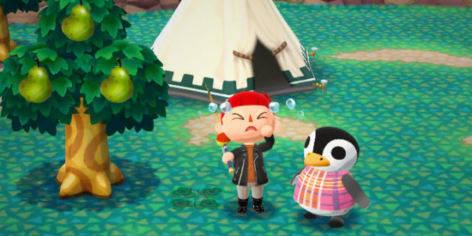 Pocket Camp Player Gets Heartbreaking Message