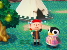 Pocket Camp Player Gets Heartbreaking Message