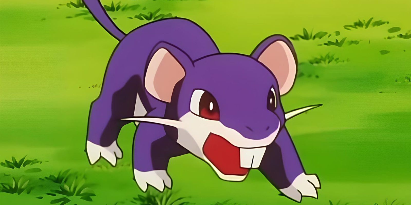 Pokemon Fan Designs Normal/Ghost-type Regional Variant for Rattata