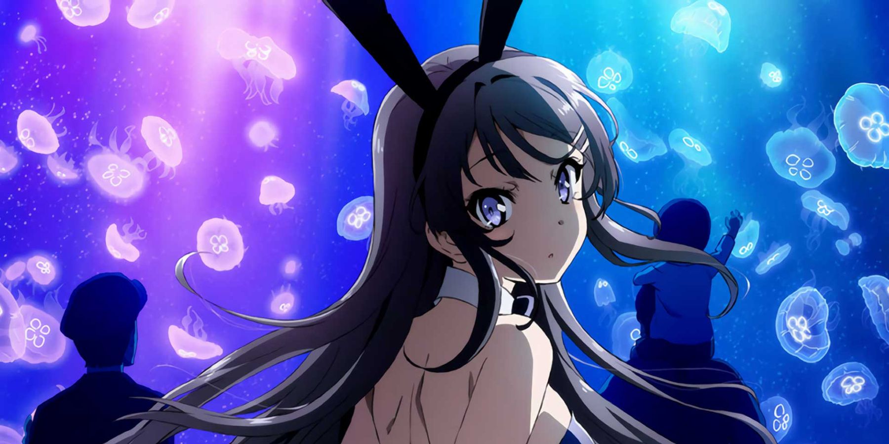 bunnygirlsenpai_season1_banner