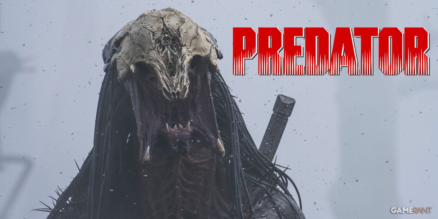 Predator Animated Movie Plot Details Rumor