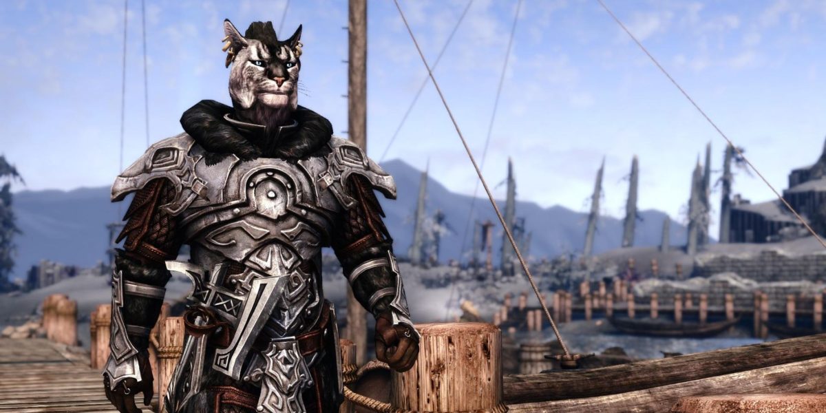 Skyrim Player Makes Their Dragonborn Look Just Like Their Pet Cat