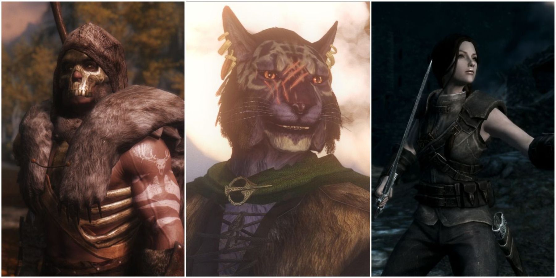 Skyrim Best Follower Mods