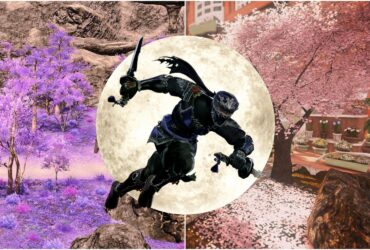 Everything You Need To Know About The Ninja Job In FFXIV