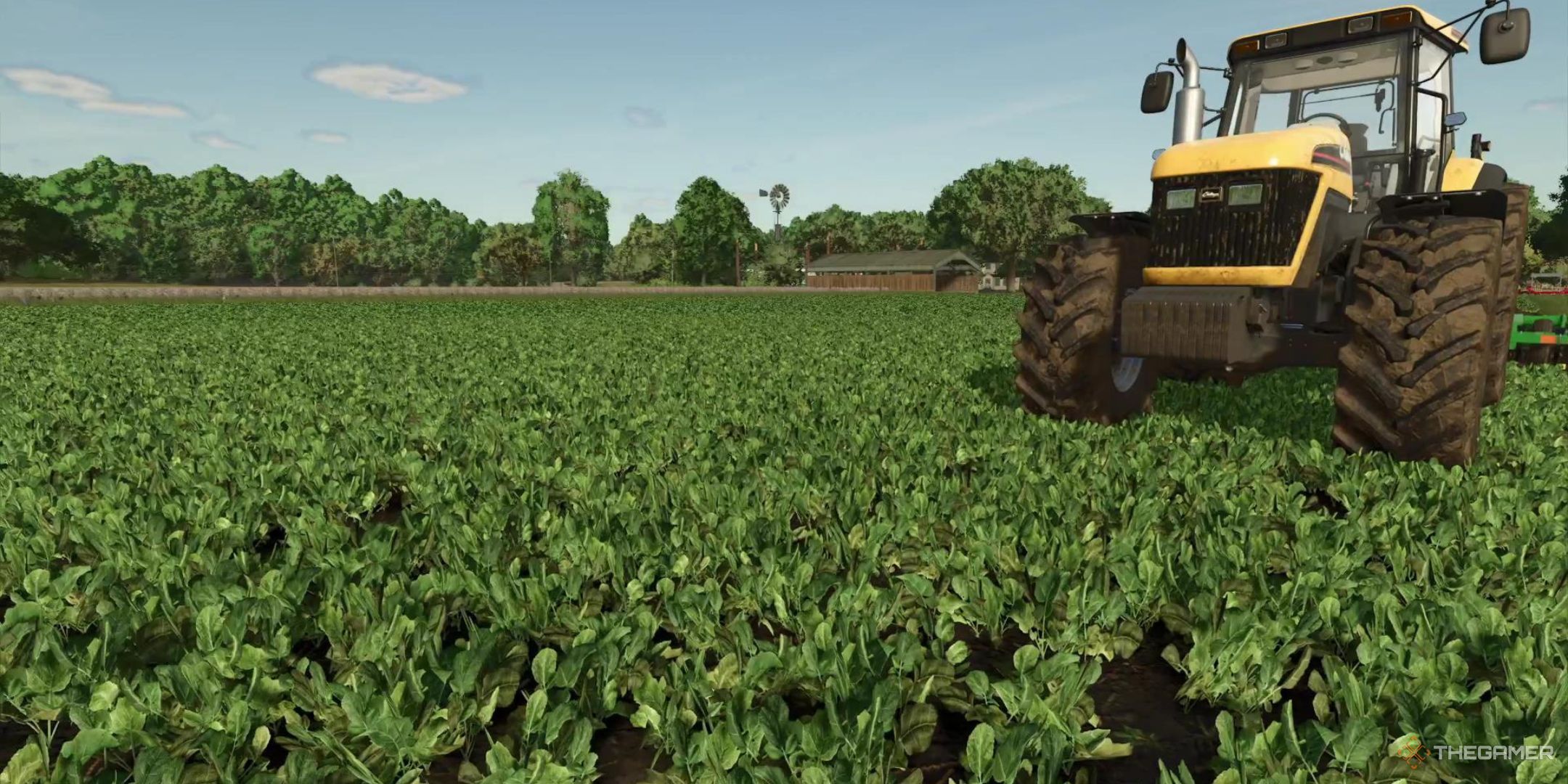 A field full of oilseed radishes sit in the sun in Farming Simulator 25.