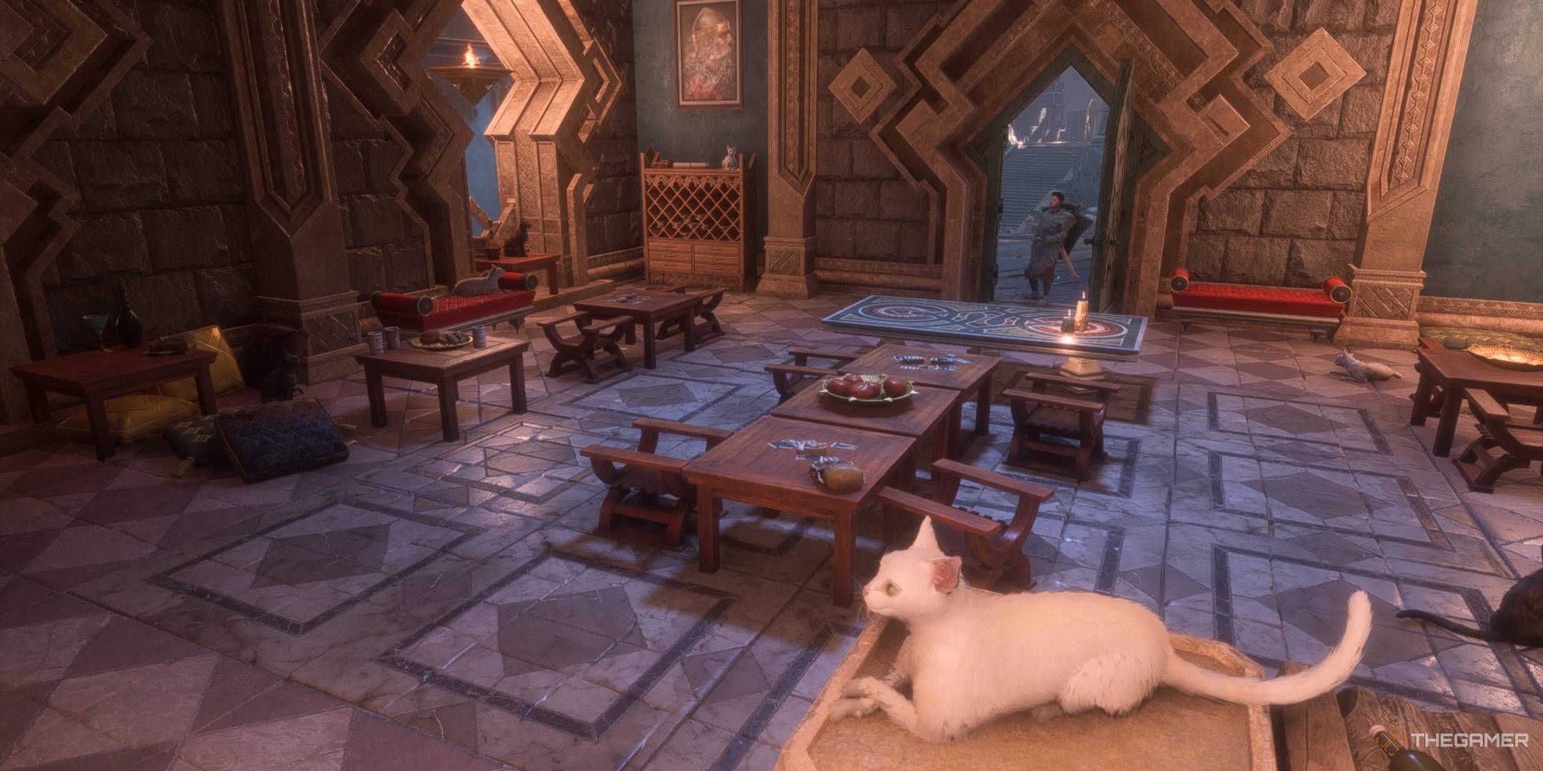 The Felis Forum cat cafe in Minrathous' Dock Town in Dragon Age: The Veilguard.