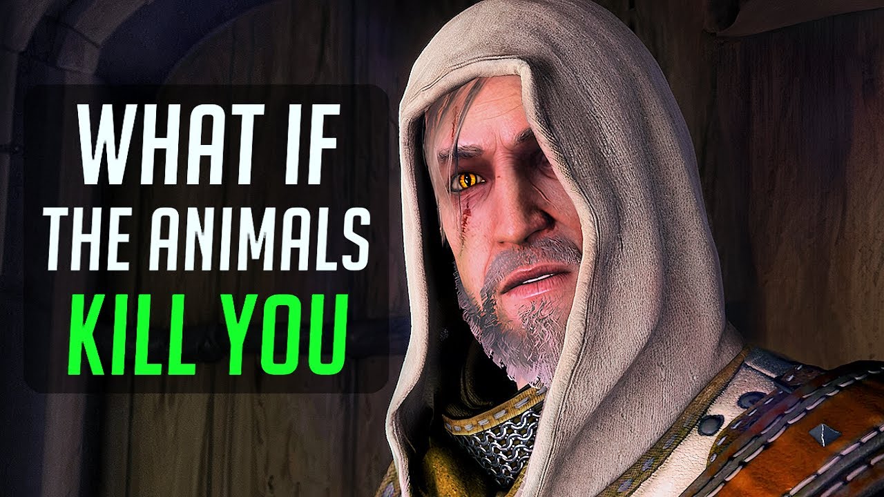 What if the stuffed animals kill you? | The Witcher 3 - YouTube