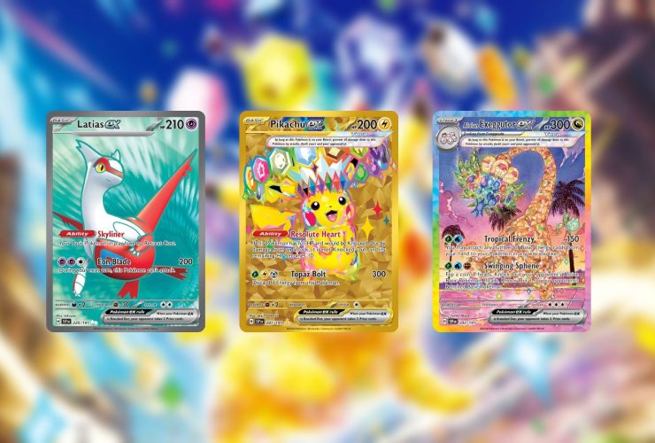 What's New and Our Best Pulls