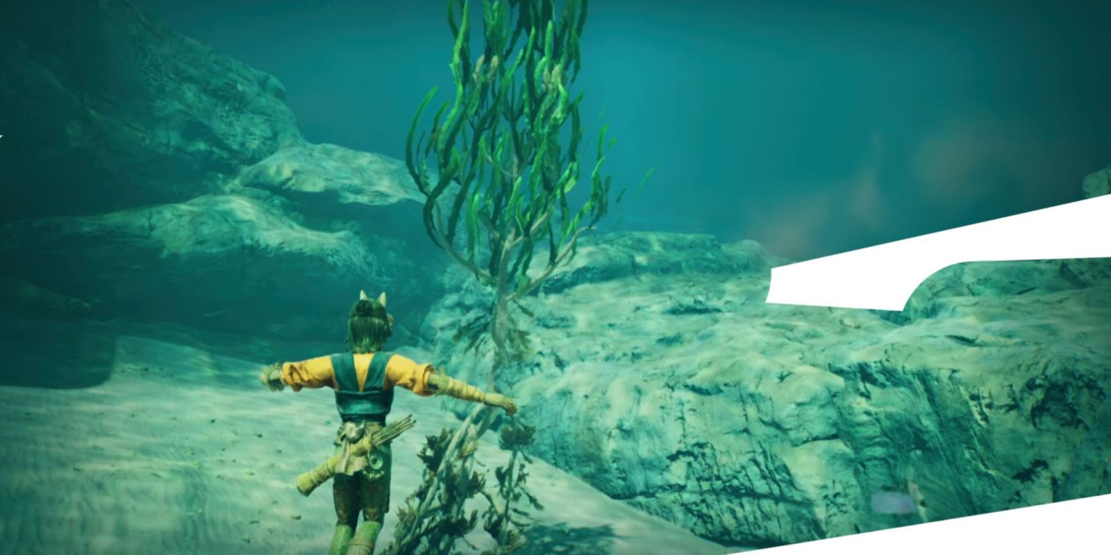 Where To Find Kelp in Towers of Aghasba