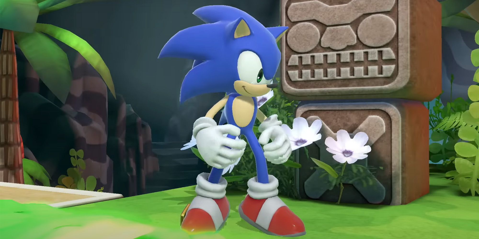 Sonic The Hedgehog standing in the Great Cave Offensive from Super Smash Bros. Ultimate.