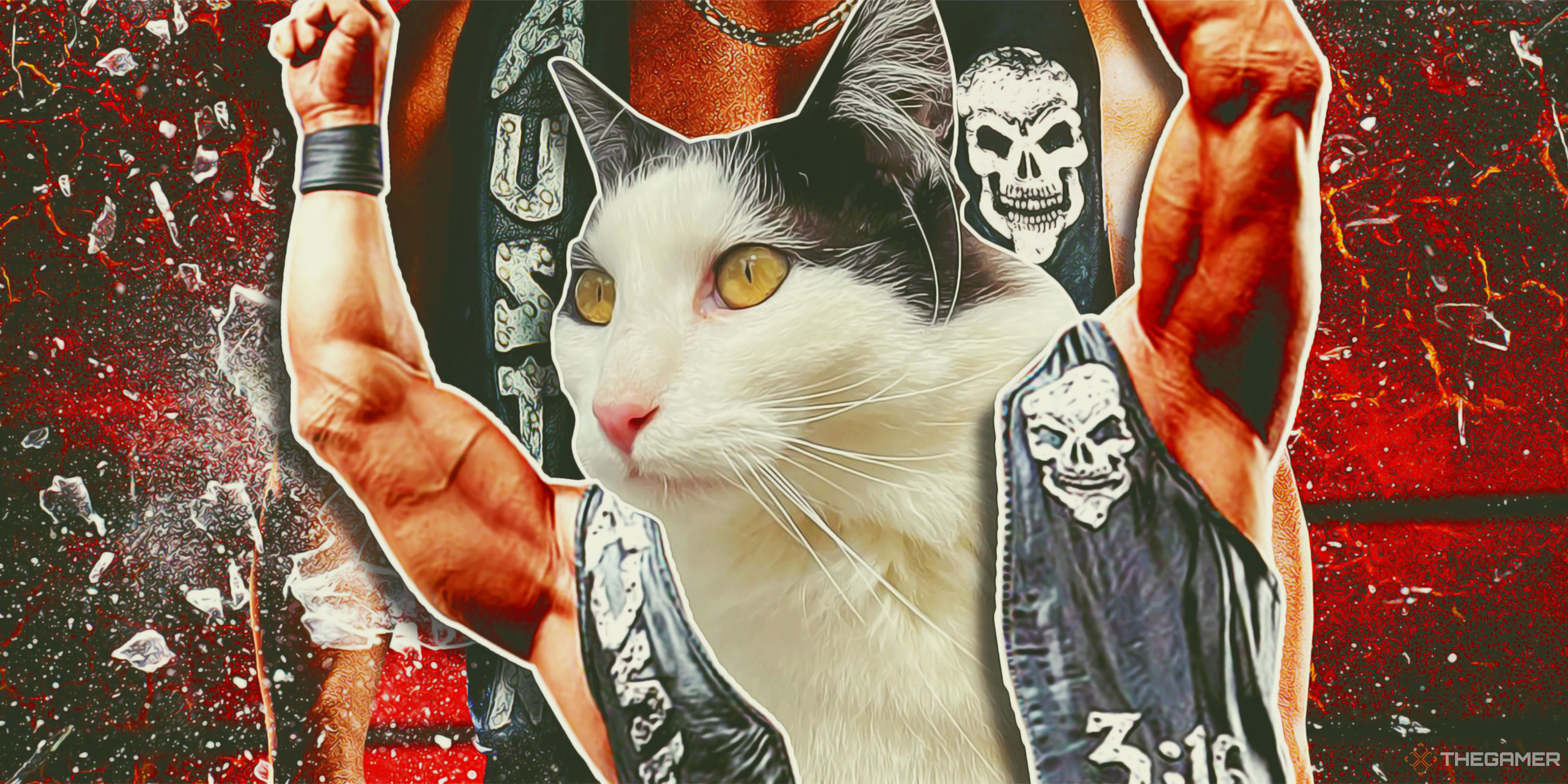 I Want To Be Reincarnated As One Of Stone Cold Steve Austin's Cats