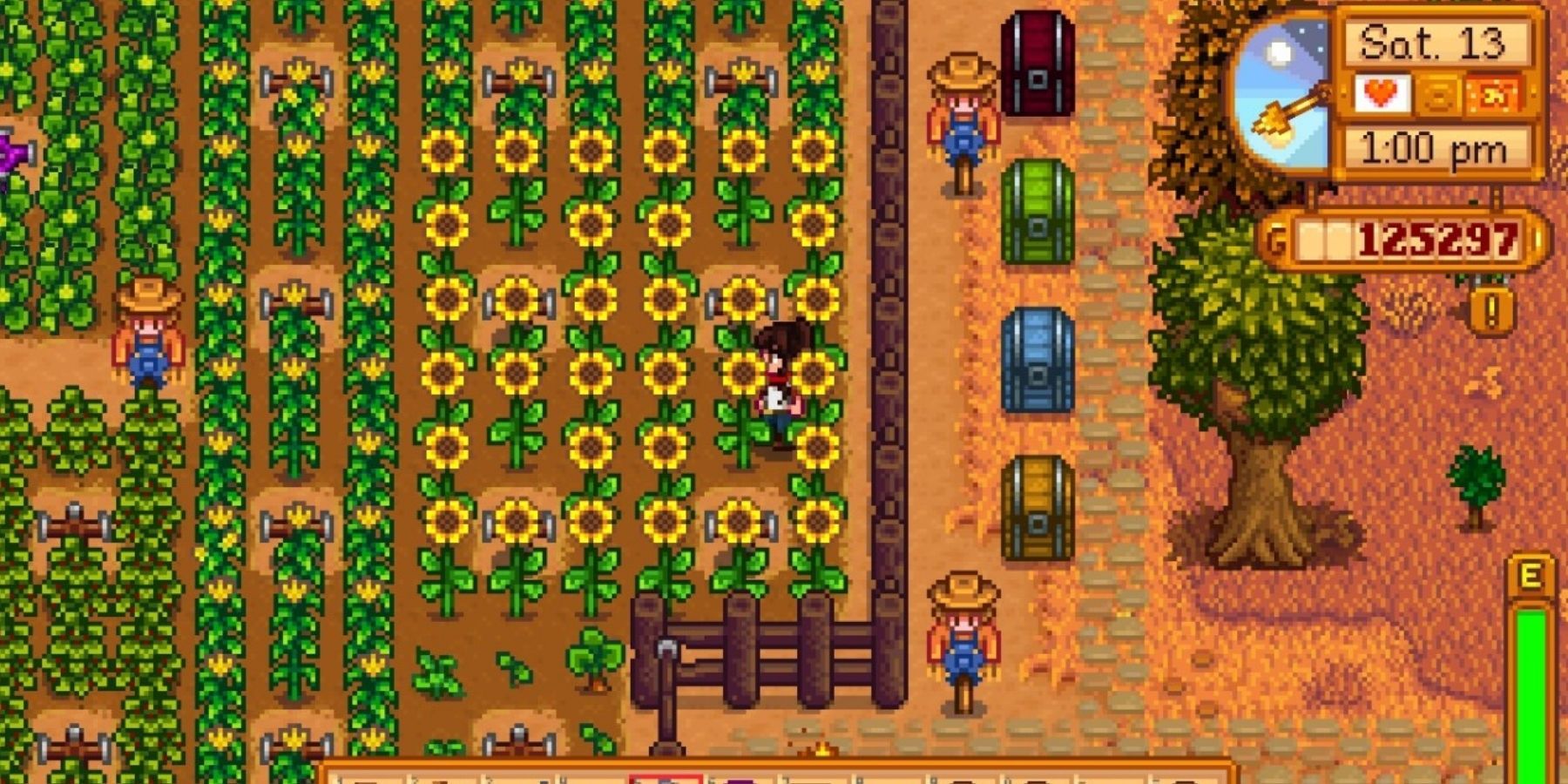 stardew valley fall crops sunflowers