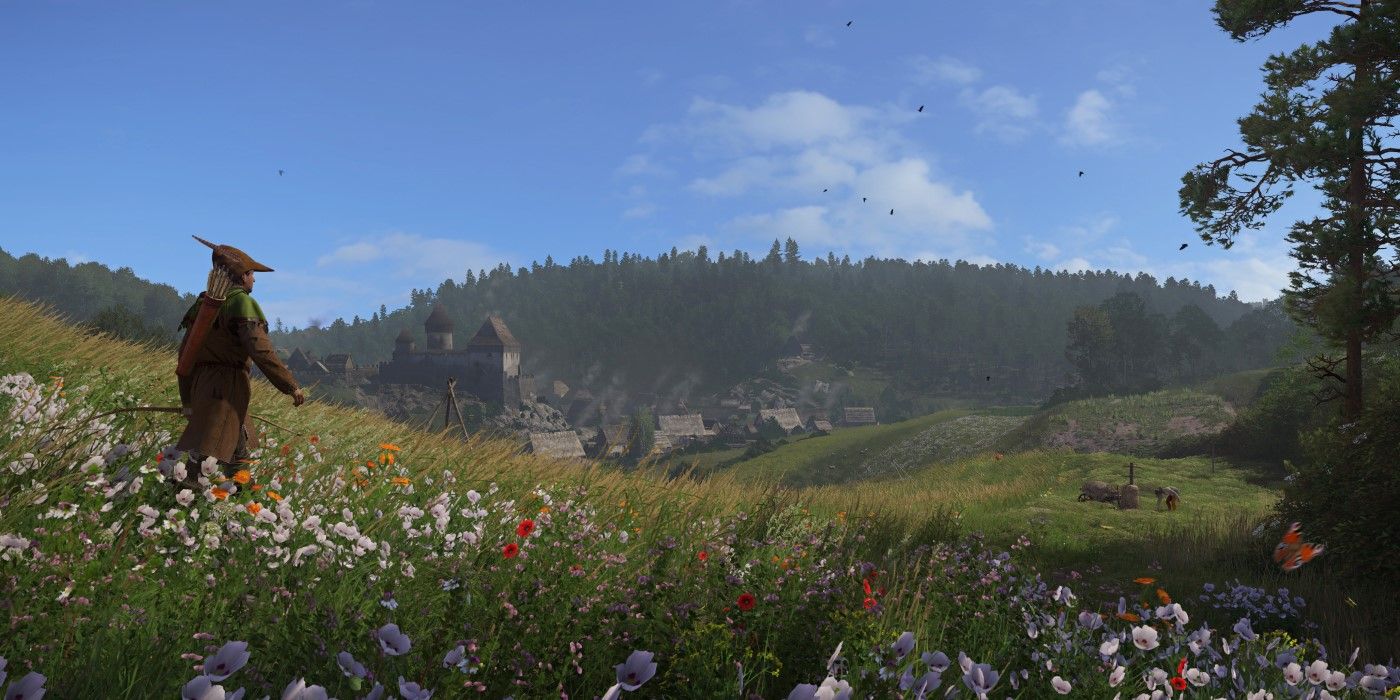 A field in Kingdom Come Deliverance 