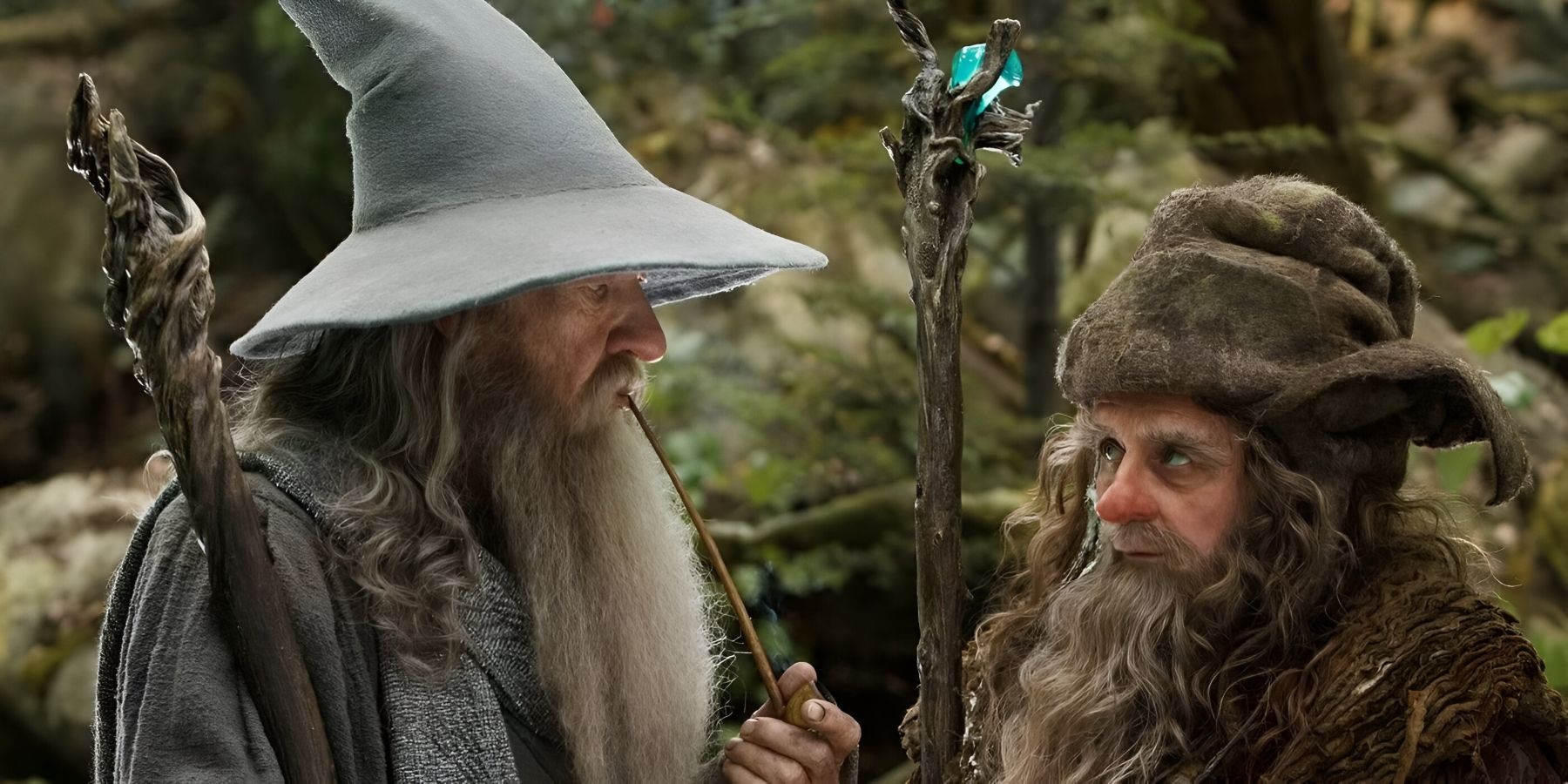 Gandalf the Grey with Radagast the Brown LOTR