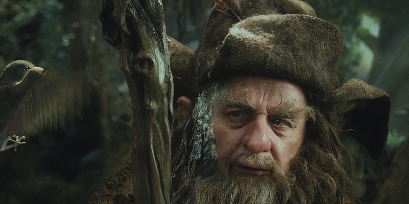 Where Was Radagast The Brown During The War Of The One Ring?