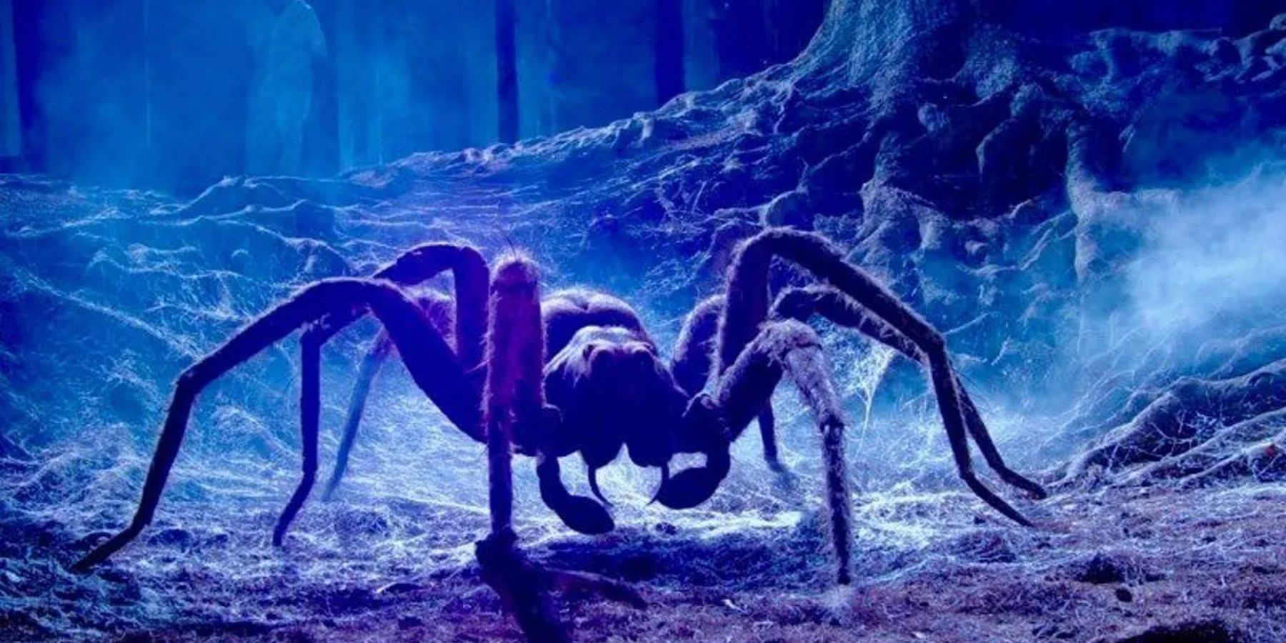 Harry Potter_Spider