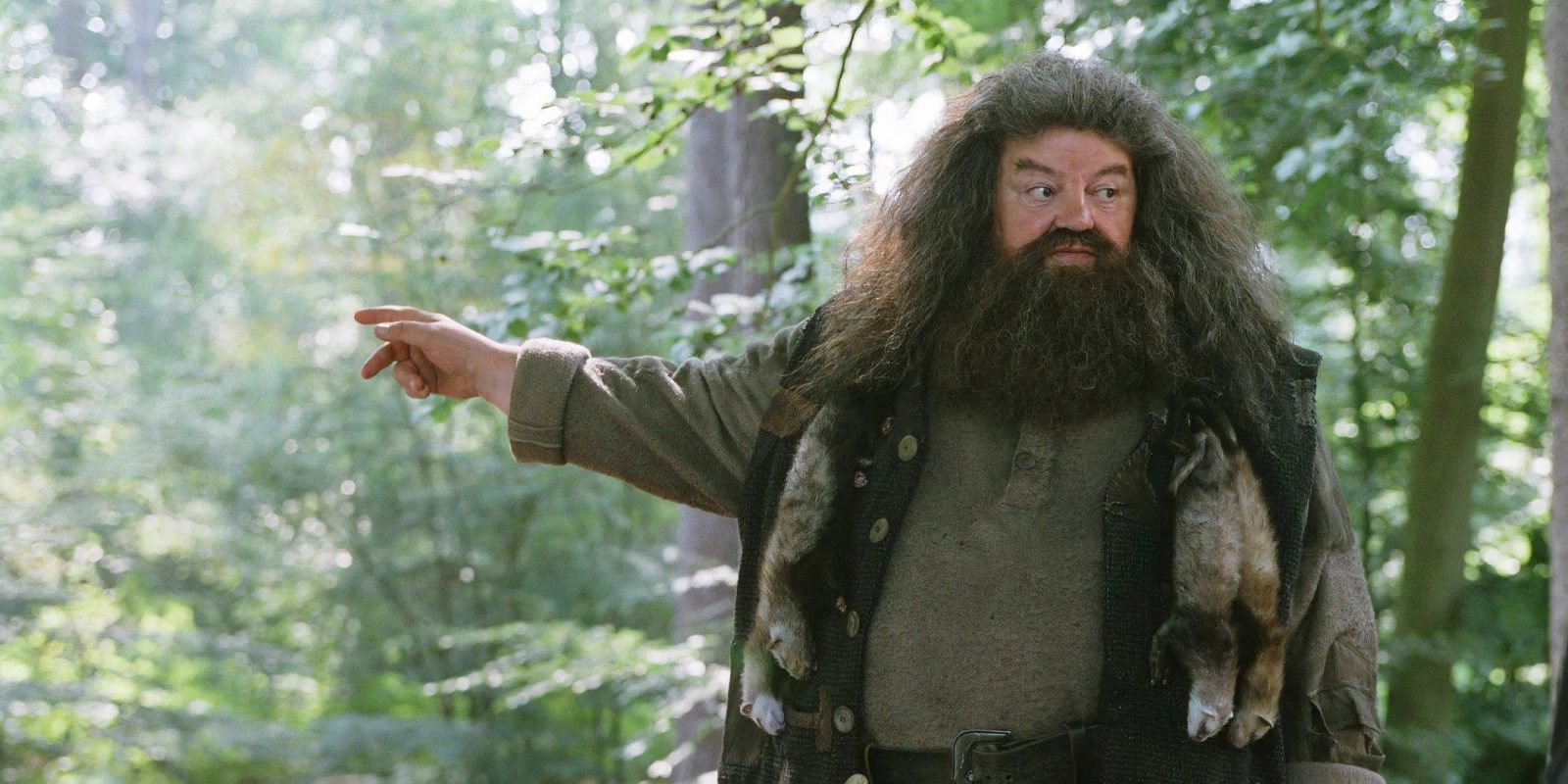 Why Is Hagrid Banned From Performing Magic, Explained