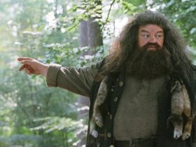 Why Is Hagrid Banned From Performing Magic, Explained