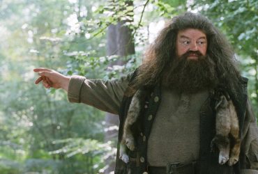 Why Is Hagrid Banned From Performing Magic, Explained