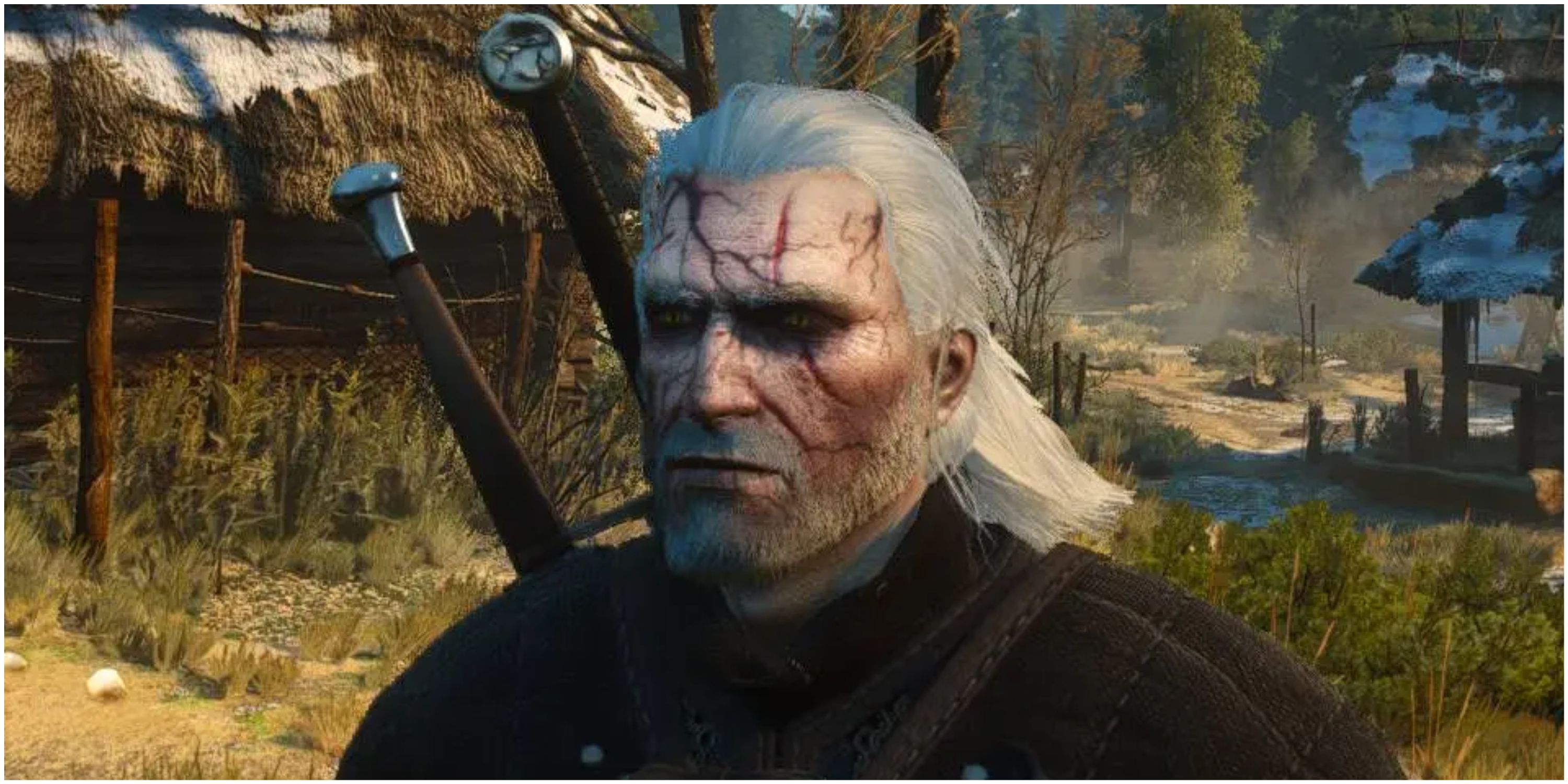 Toxicity in The Witcher 3