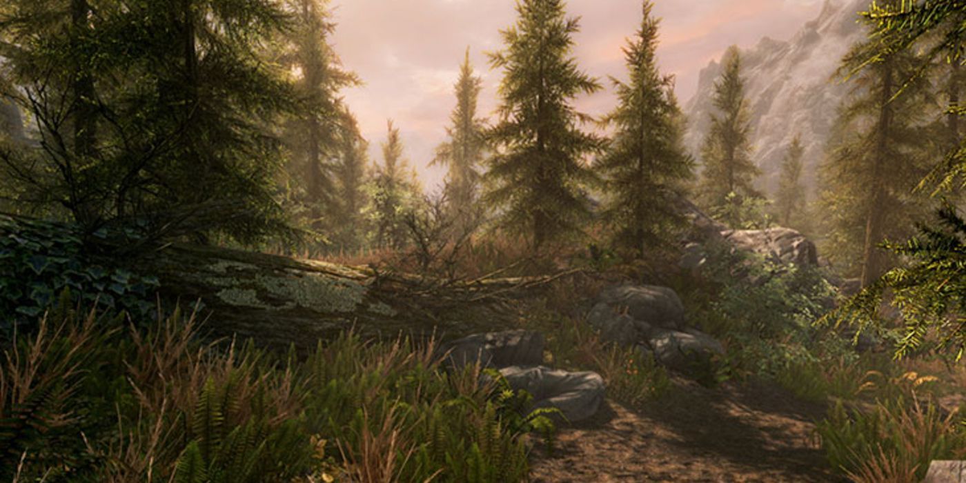 Skyrim Forest