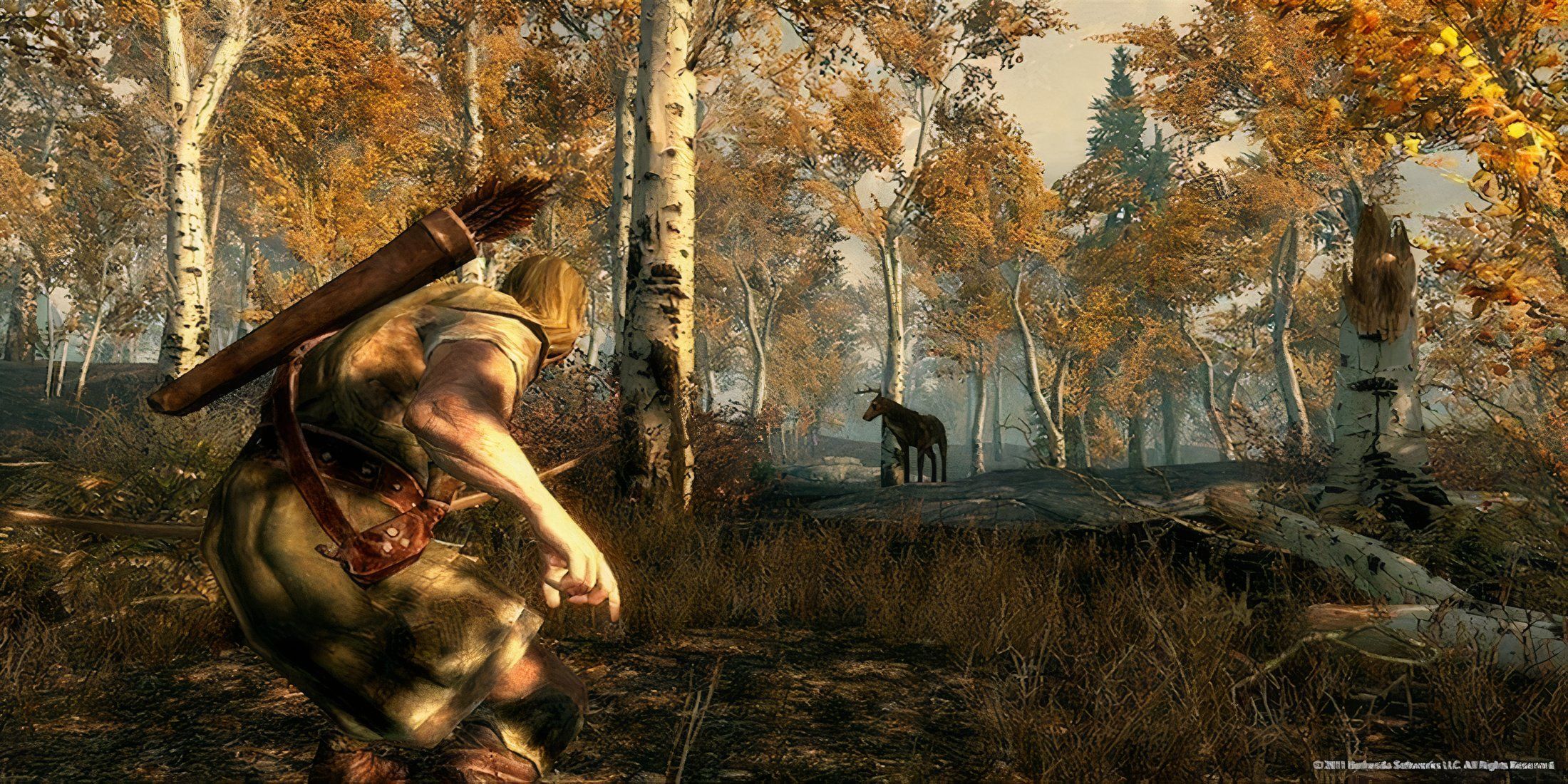 Elder Scrolls 5 Skyrim Screenshot Forest Hunt (1)