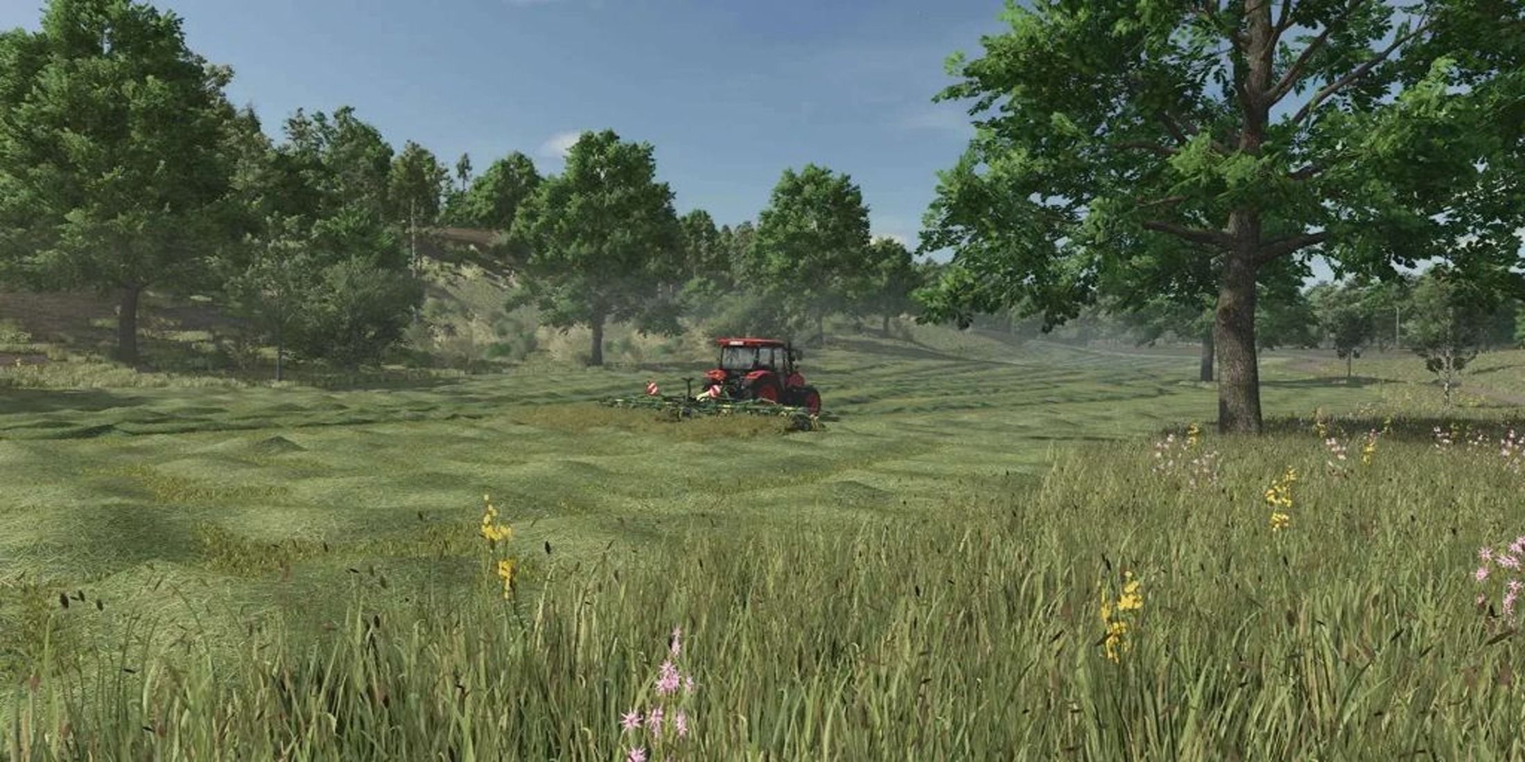 grass texture Farming Simulator 25