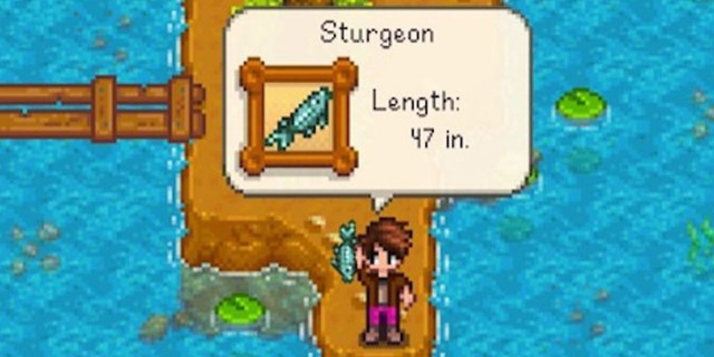 Stardew Valley Player With Sturgeon Fish