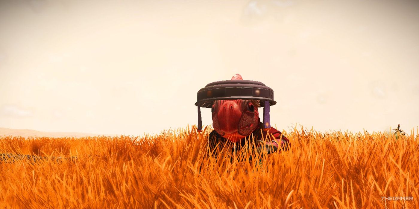 A red Gekk sits in the orange grass of a lush planet in No Man's Sky.